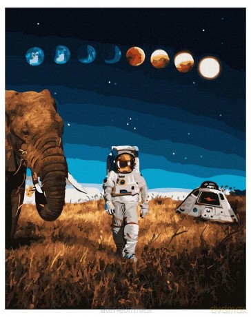 Malowanie po numerach - Astronauta 40x50 cm