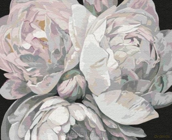 Malowanie po numerach - Barwy piwonia 40x50 cm