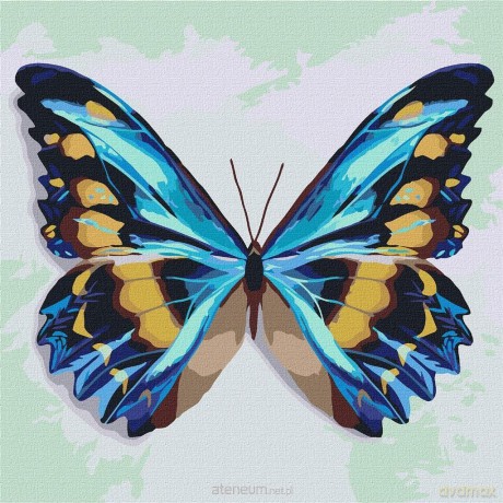 Malowanie po numerach - Błękitny motyl 25x25 cm