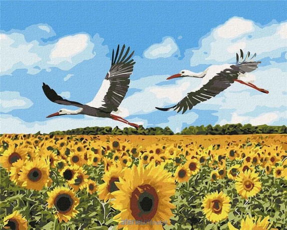 Malowanie po numerach - Bociany na niebie 40x50 cm
