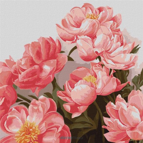 Malowanie po numerach - Bukiet piwonii 40x40 cm