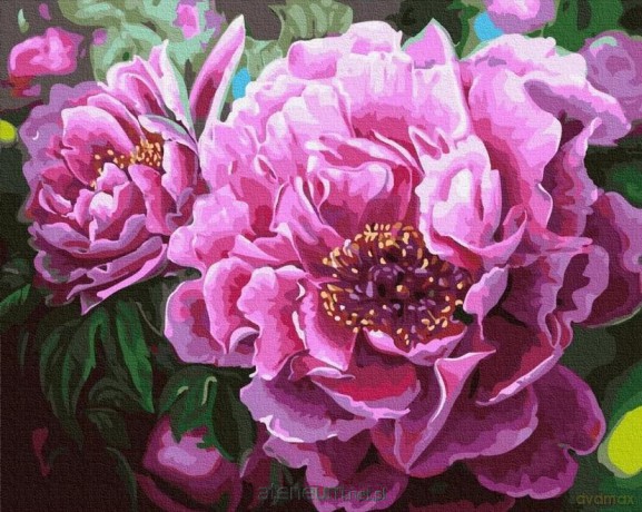 Malowanie po numerach - Cudowne piwonie 40x50 cm