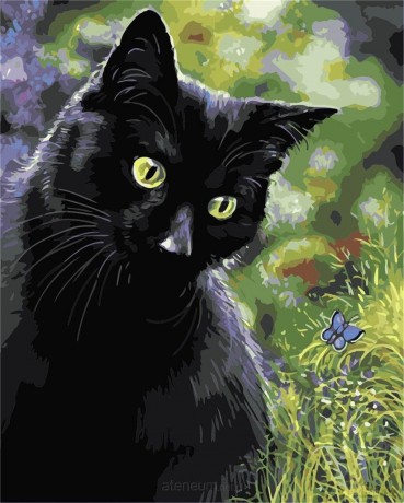 Malowanie po numerach - Czarny kot 30x40 cm