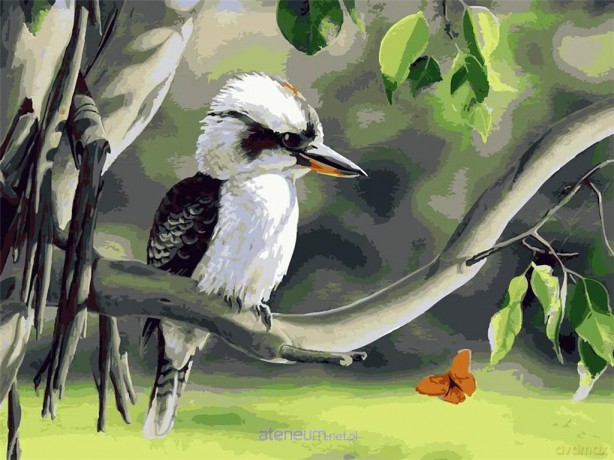 Malowanie po numerach - Czujność w lesie 30x40 cm