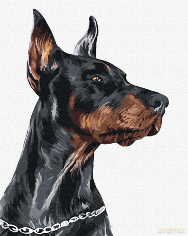 Malowanie po numerach - Dzielny Doberman 40x50 cm