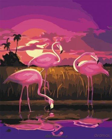 Malowanie po numerach - Flamingi 40x50 cm