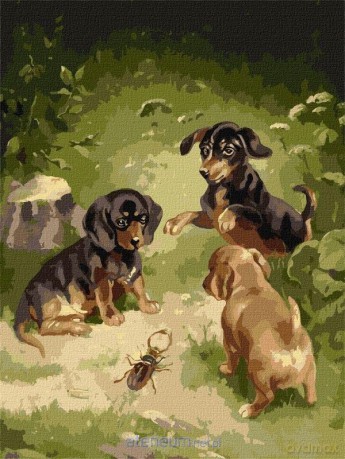 Malowanie po numerach - Gry szczeniąt 30x40 cm