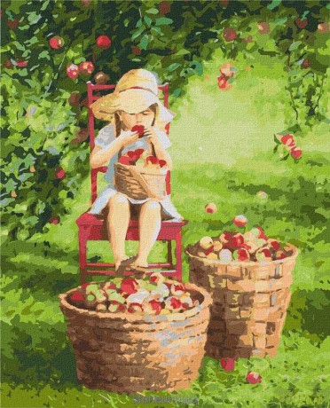 Malowanie po numerach - Jabłuszko 40x50 cm