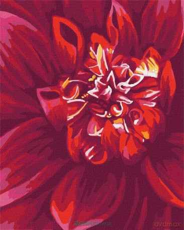 Malowanie po numerach - Jabłuszko 40x50 cm