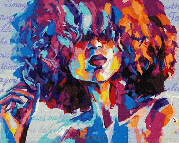 Malowanie po numerach - Jasny obraz 40x50 cm