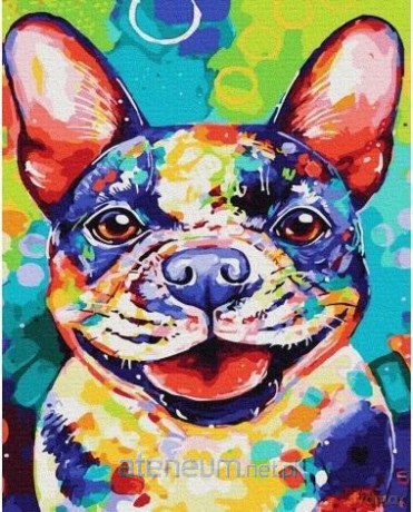 Malowanie po numerach - Kolorowy mops 40x50 cm