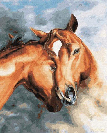 Malowanie po numerach - Końska czułość 40x50 cm