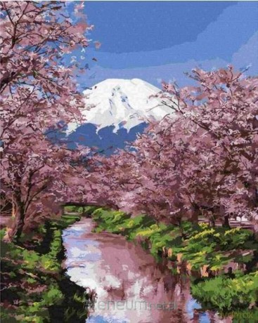 Malowanie po numerach - Kwitnąca sakura 40x50 cm