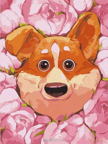 Malowanie po numerach - Kwitnące corgi 30x40 cm
