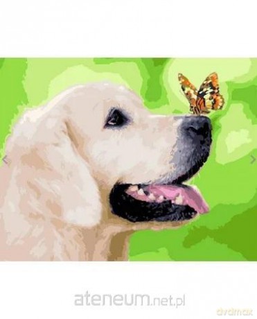 Malowanie po numerach - Labrador i motyl 40x50 cm