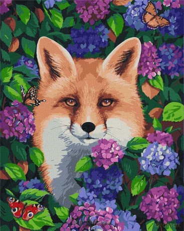 Malowanie po numerach - Lis w hortensji 40x50 cm