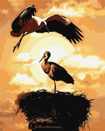 Malowanie po numerach - Lot miłości 40x50 cm