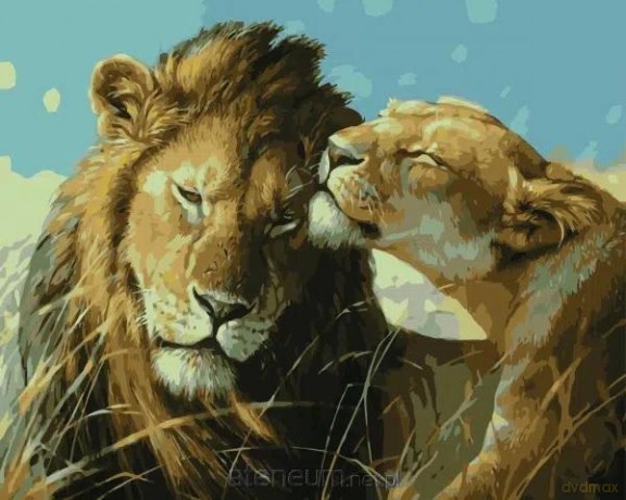 Malowanie po numerach - Lwy na safari 40x50 cm