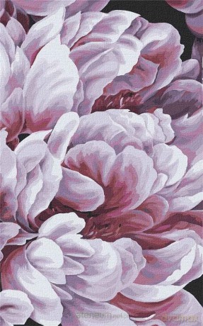 Malowanie po numerach - Magia peoni 1 25x40 cm