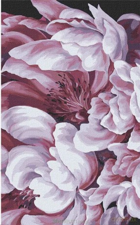 Malowanie po numerach - Magia peoni 3 25x40 cm