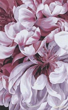 Malowanie po numerach - Magia peoni 4 25x40 cm