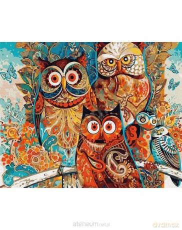 Malowanie po numerach - Magiczne sowy 40x50 cm