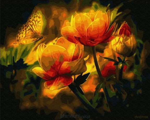 Malowanie po numerach - Magiczne tulipany 40x50 cm