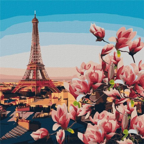 Malowanie po numerach - Magnolie paryskie 50x50 cm