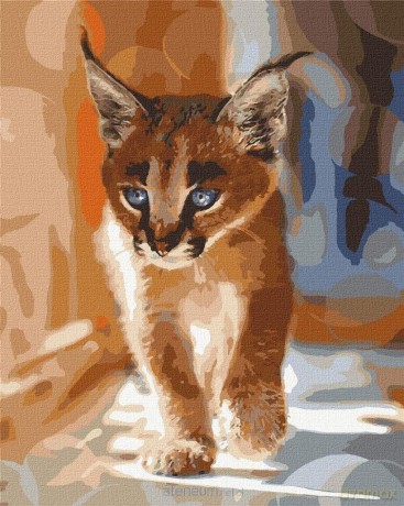 Malowanie po numerach - Mały karakal 40x50 cm
