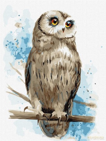 Malowanie po numerach - Mądry wygląd 30x40