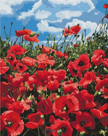 Malowanie po numerach - Niesamowite maki 40x50 cm