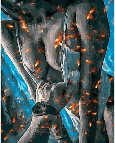Malowanie po numerach - Ognista pasja 40x50 cm
