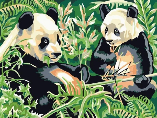 Malowanie po numerach - Pandy 30x40 cm rama