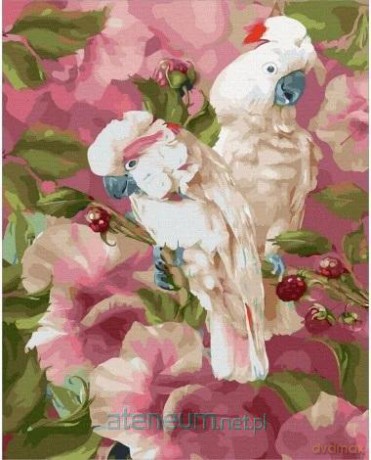 Malowanie po numerach - Papugi 40x50 cm
