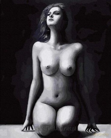 Malowanie po numerach - Piękno ciała 40x50 cm