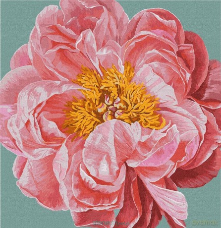 Malowanie po numerach - Pink kiss 40x40 cm
