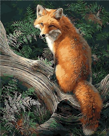 Malowanie po numerach - Polski lis 30x40 cm