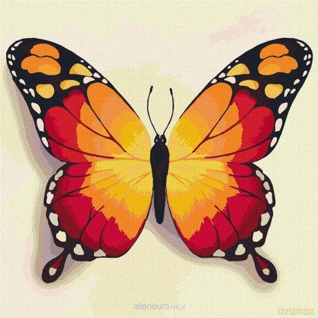 Malowanie po numerach - Pomarańczowy motyl 25x25 cm