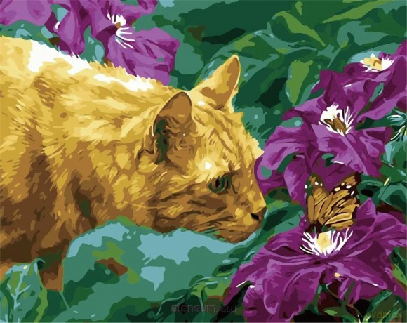 Malowanie po numerach - Poznajmy się 40x50 cm