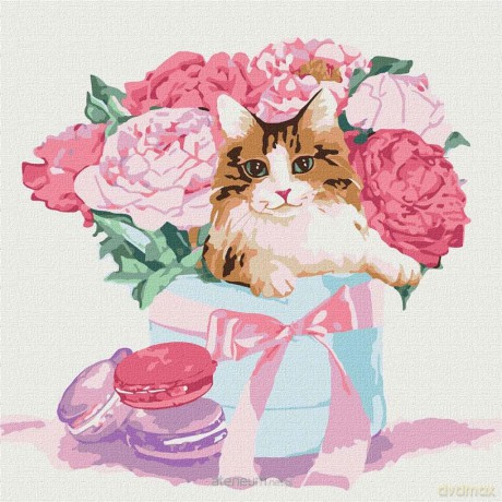 Malowanie po numerach - Prezent 30x30 cm