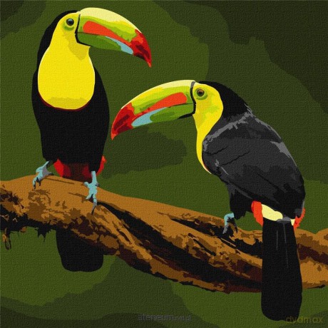 Malowanie po numerach - Ptaki egzotyczne 40x40 cm