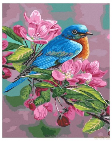 Malowanie po numerach - Ptaszyna 40x50 cm