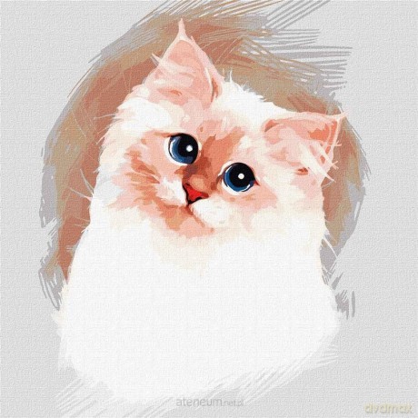 Malowanie po numerach - Puszysta chmura 30x30 cm