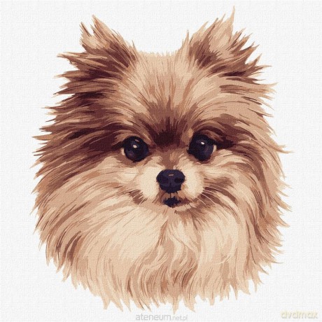 Malowanie po numerach - Puszyste dzikie 30x30 cm