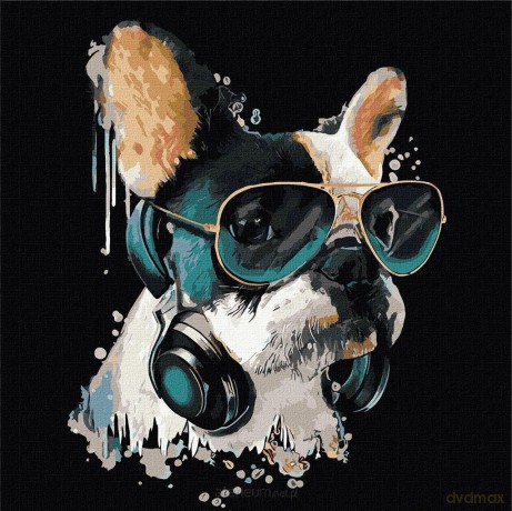 Malowanie po numerach - Puszysty DJ 40x40 cm