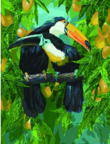 Malowanie po numerach - Rajskie tukany 40x50 cm