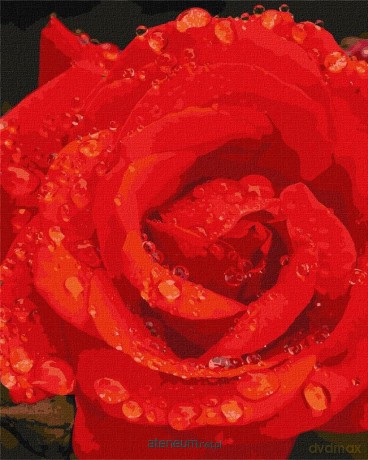 Malowanie po numerach - Róża w diamentach 40x50 cm
