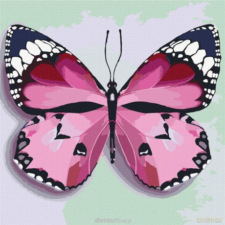Malowanie po numerach - Różowy motyl 25x25 cm