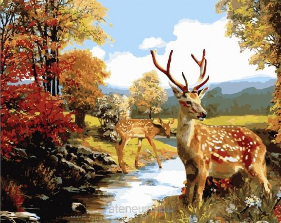Malowanie po numerach - Sarna i kozioł 40x50 cm