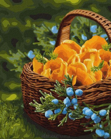 Malowanie po numerach - Słońce w koszyku 40x50 cm